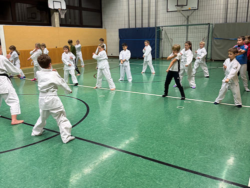 Foto beim Karatetreining