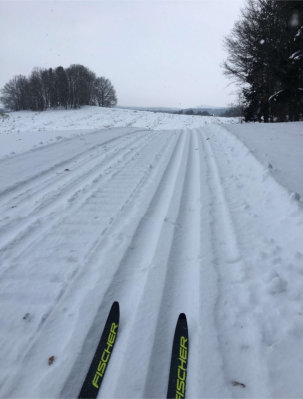 Die Loipe ist gespurt!